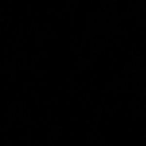 Meet your Posher, Toni